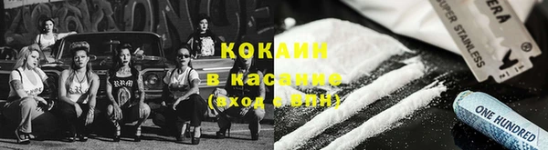 ГАЛЛЮЦИНОГЕННЫЕ ГРИБЫ Покров