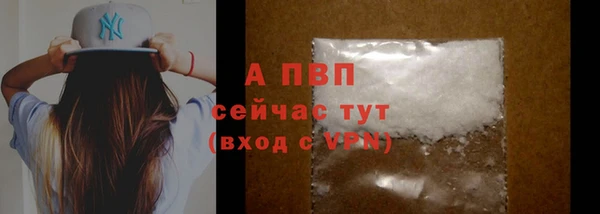ГАЛЛЮЦИНОГЕННЫЕ ГРИБЫ Покров
