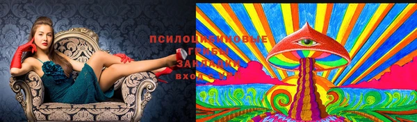 ГАЛЛЮЦИНОГЕННЫЕ ГРИБЫ Покров