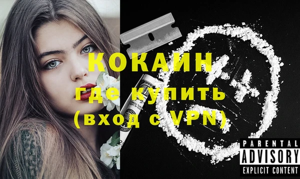 шишки Покровск
